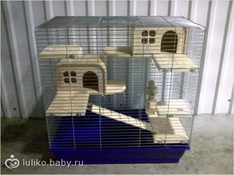 Фото как сделать клетку для шиншиллы своими руками