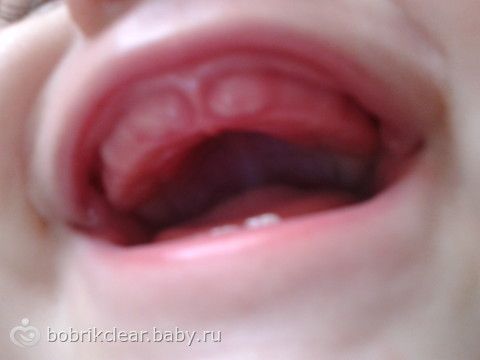 Научные конференции для чайников Сайт Набор для вышивания Dimensions 03874: вышитые работы