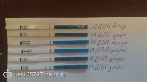 ИНВАЛИДНОСТЬ : ГРУППЫ, ПРАВЬГОТЫ ДЕДЕРКОЙ отдых 2017 Гостиницы, частный