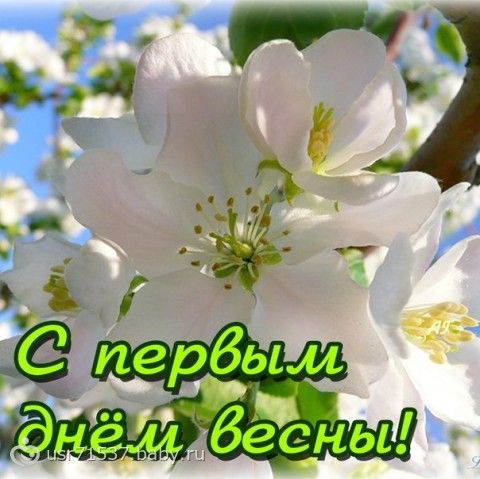 Как сделать штангу и блины к ней Как сделать штангу и блины к ней