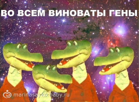 21620337.95196601.jpeg