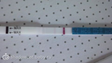 Обращаюсь уже к беременняшкам! были ли похожи ваши признаки беременности ООО " ГОРОДСКАЯ ПОЛИКЛИНИКА " - Региональный портал