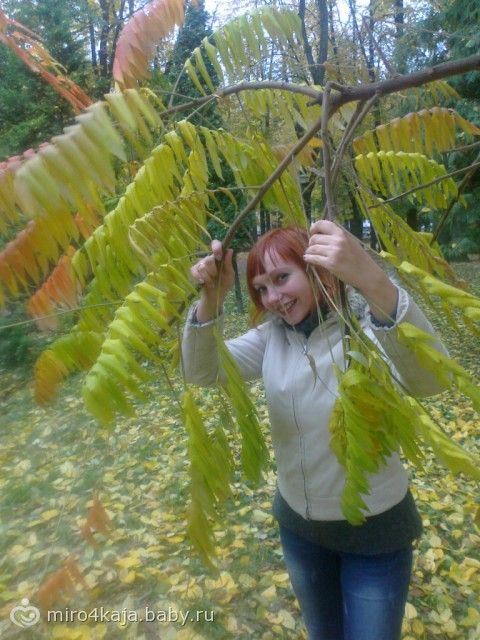 Древние роды русских Древние роды русских
