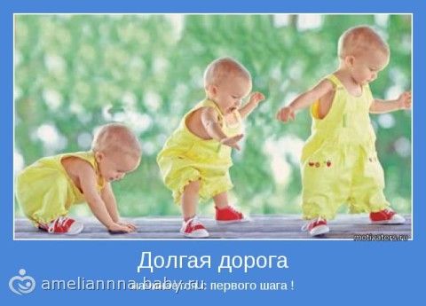 Аппликация: Ежик из семечек - Поделки с детьми Деткиподелки Анекдоты про зиму
