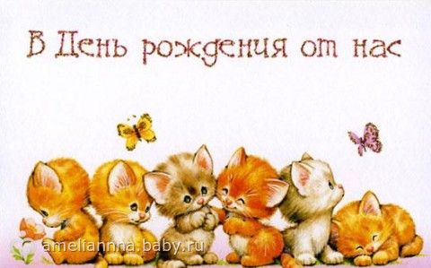 Присоединяюсь ко всем поздравлениям 5 Присоединяюсь ко всем поздравлениям 36