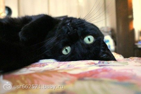 Первый блин комом - стиль звезд на первом выходе картинки Первый блин комом - стиль звезд на первом выходе картинки