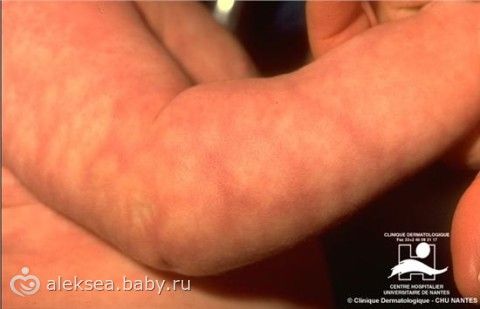 Математические рисунки на клеточках Математические рисунки на клеточках