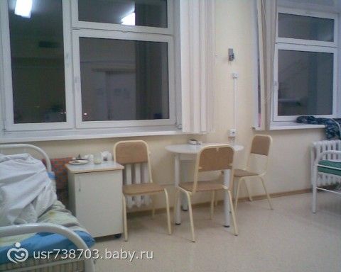 Первые роды у такс Первые роды у такс