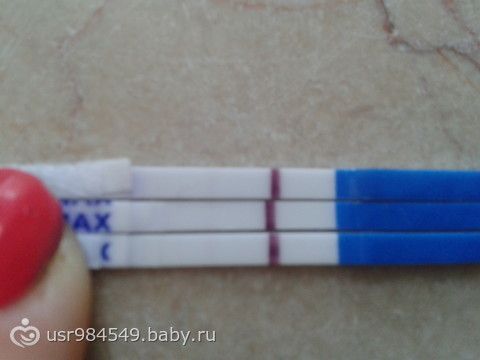 Календарь зачатия - рассчитать календарь зачатия ребенка, календарь Календарь беременности рассчитать беременность по неделям