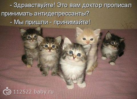 картинка все будет хорошо держись