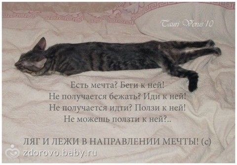 http://cs23.babysfera.ru/e/e/e/b/79599436.96493845.jpeg