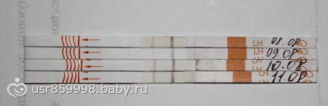 Тесты на овуляцию (фото)