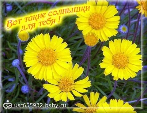 доченька я тебя люблю картинка доченька я тебя люблю картинка