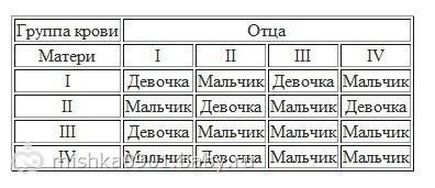 Планирование пола ребенка: теория «обновления крови»