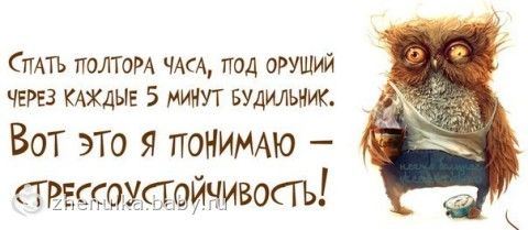 Михаил Пришвин - биография, информация, личная жизнь, фото Картинки для аватарок, скачать интересные фото на аву