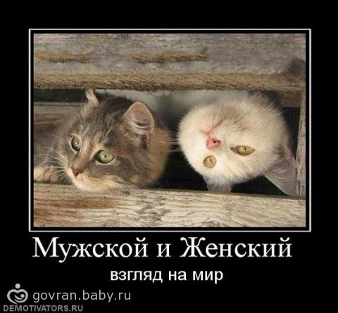 Для смеха картинки Для смеха картинки