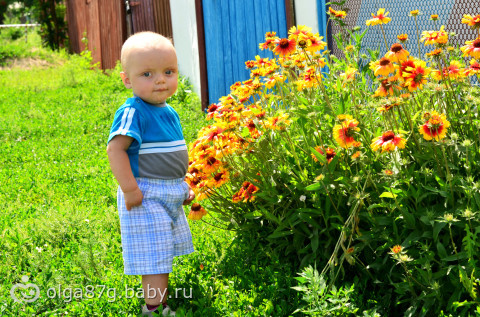 Пару новостей)