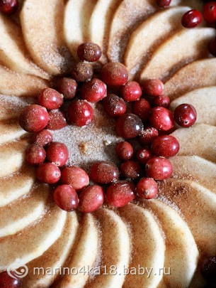 Пирог с яблоками и клюквой