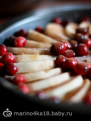 Пирог с яблоками и клюквой