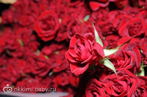 29 это новые 19!