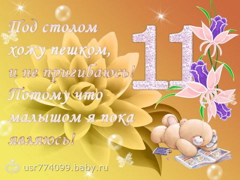 11 месяцев знакомства картинки