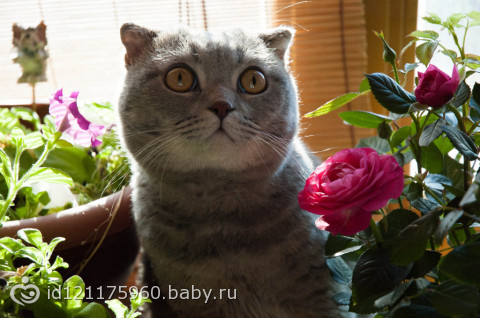 Фотопроект 365 ДЕНЬ 11,12,13