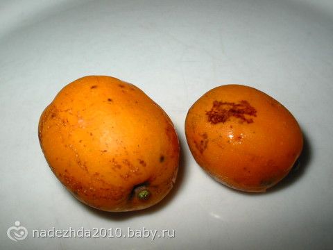 Фрукты Амазонии (Много фото)
