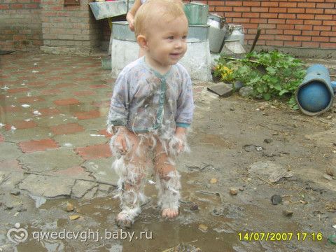 чудо в перьях картинки онлайн чудо в перьях картинки