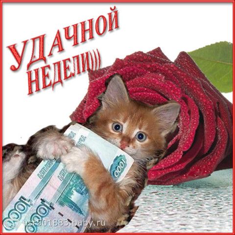 http://cs23.babysfera.ru/7/c/c/a/114302326.192619634.jpeg