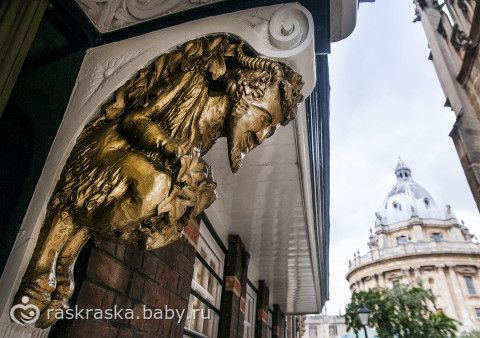 Снова съездили в Оксфорд погулять (очень много фото)