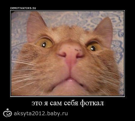 ржу не могу картинки онлайн ржу не могу картинки
