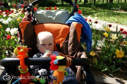 Наша поездка в Краснодар :)