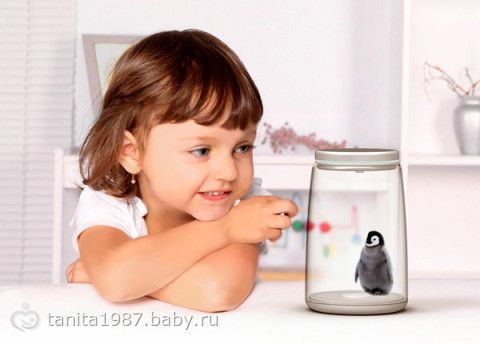 Вот такие теперь тамогочи))))))))))))