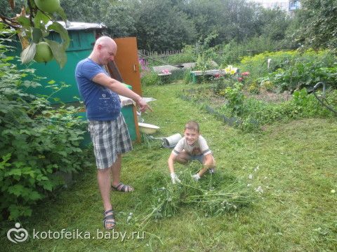 вытащили меня мои мужчинки на улицу...мало слов- много фото))