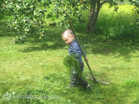 вытащили меня мои мужчинки на улицу...мало слов- много фото))