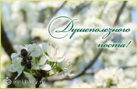 Суп из молодых овощей Суп из молодых овощей