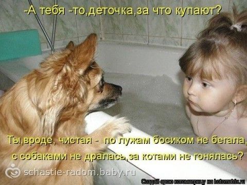 О детях с юмором фото О детях с юмором фото