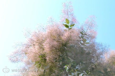 Отметили годовщину свадьбы (фото)