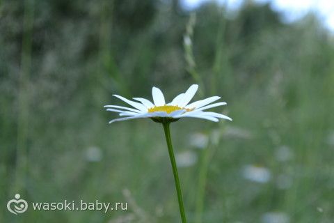Отметили годовщину свадьбы (фото)