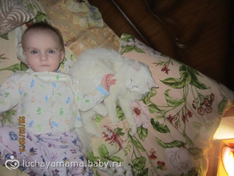 немного фото