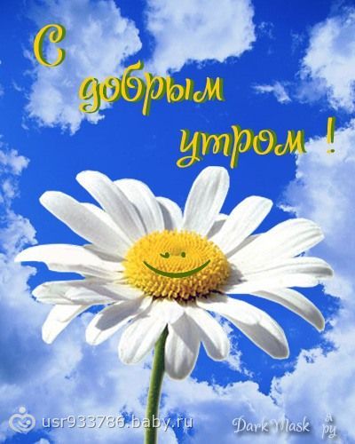 доброе утро картинки позитив онлайн доброе утро картинки позитив