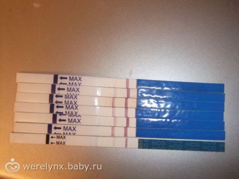 Красивейшая Красивейшая