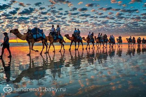 капли паразитов в организме капли паразитов в организме