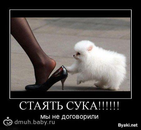 Немного юмора перед сном))