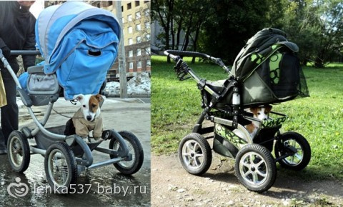 Сынок у меня один а ребенка — два почему-то…